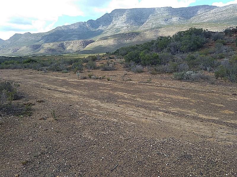 0 Bedroom Property for Sale in Riversdale Western Cape